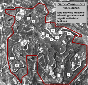 Indiana Bat Survey at Proposed Mine Site in Ohio